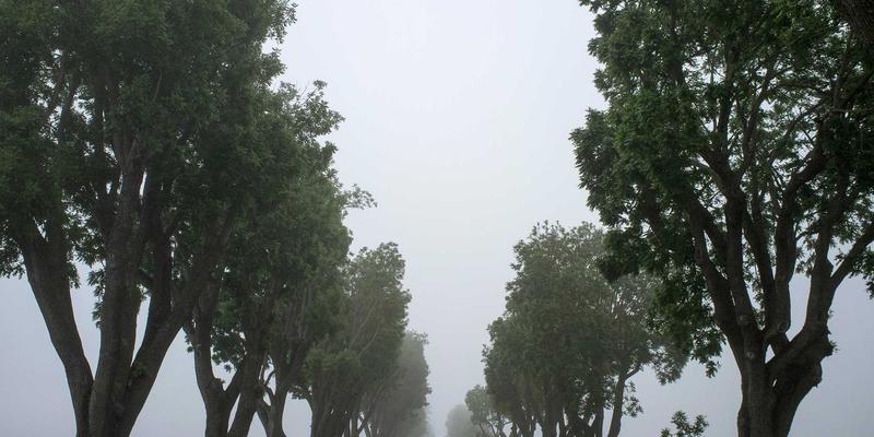 传动部件与机械配件：工业设备高效运转的核心支撑