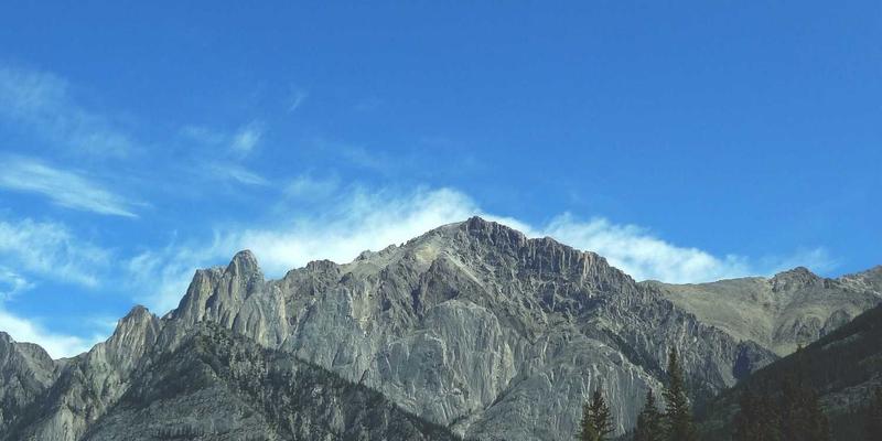 传动部件：工业设备高效运转的核心，福耐德如何以创新驱动未来