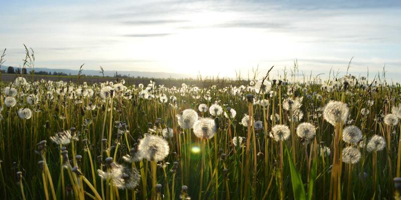 基于机器视觉的工业设备在线质量检测系统集成指南：赋能机械配件与自动化设备
