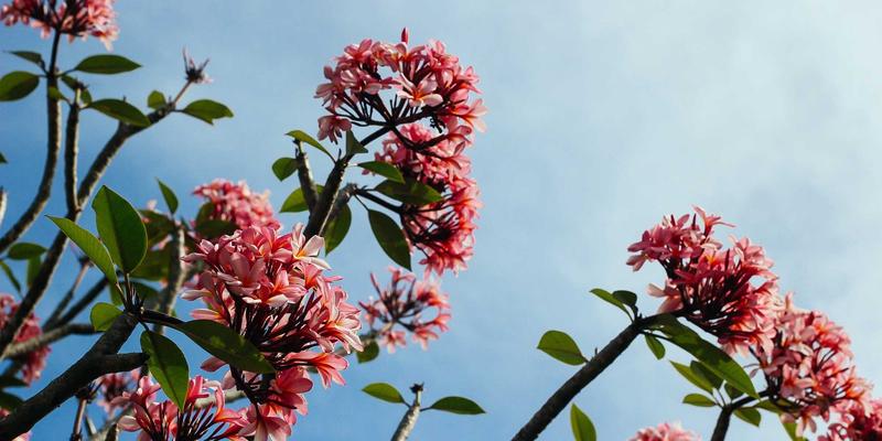 工业设备26：机械配件如何驱动现代工业解决方案的革新