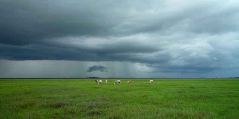 工业设备27：精密零件与自动化设备的协同进化