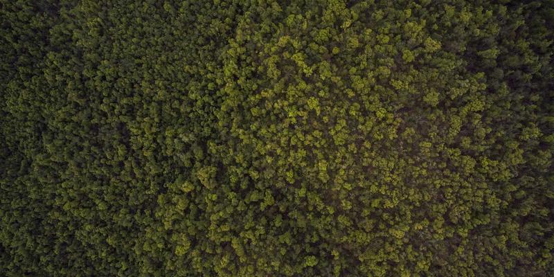 工业设备4.0时代：自动化设备与精密零件的协同进化——以福耐德为例