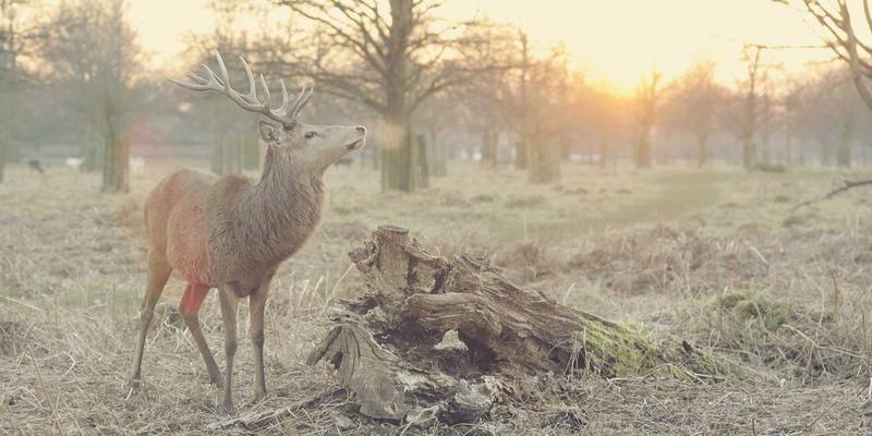 工业设备48：以传动部件与自动化设备为核心的工业解决方案