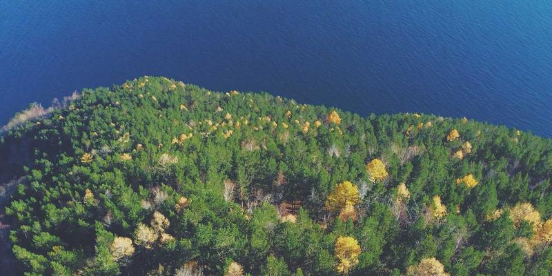 工业设备61：自动化设备、精密零件与传动部件的协同进化