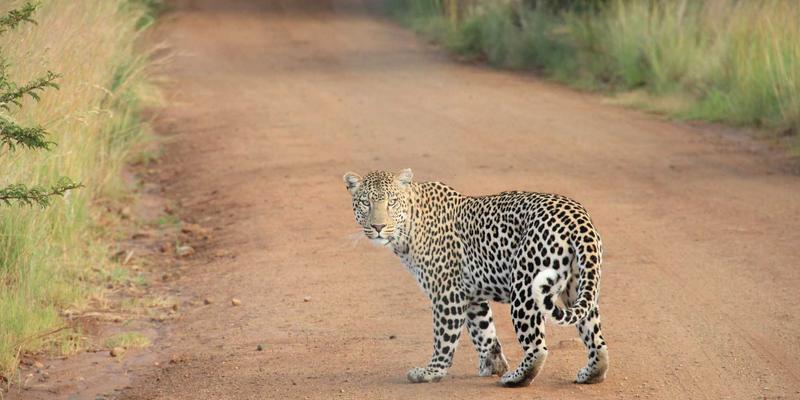 工业设备78时代：精密零件与机械配件的创新融合，福耐德如何引领行业变革