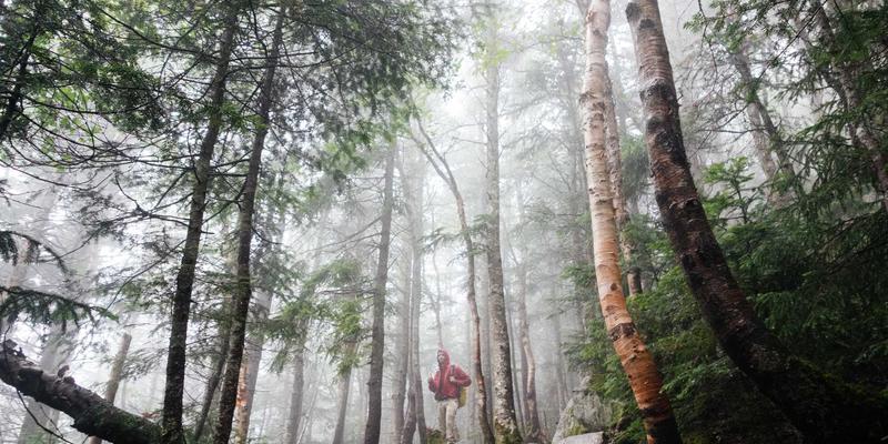 工业设备传动部件：福耐德如何以创新解决方案驱动产业升级