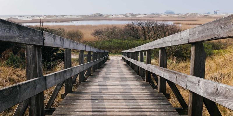 工业设备全攻略：自动化设备、机械配件与传动部件的选型与维护指南