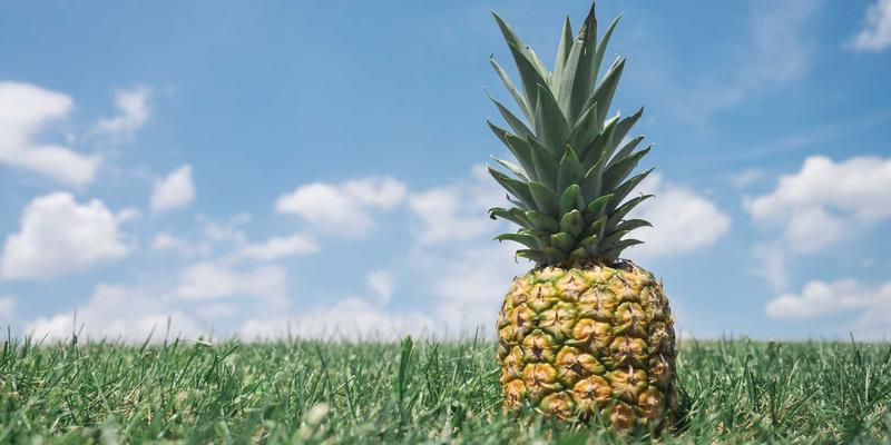 工业设备振动分析与故障诊断实战：从自动化设备信号采集到传动部件智能判据