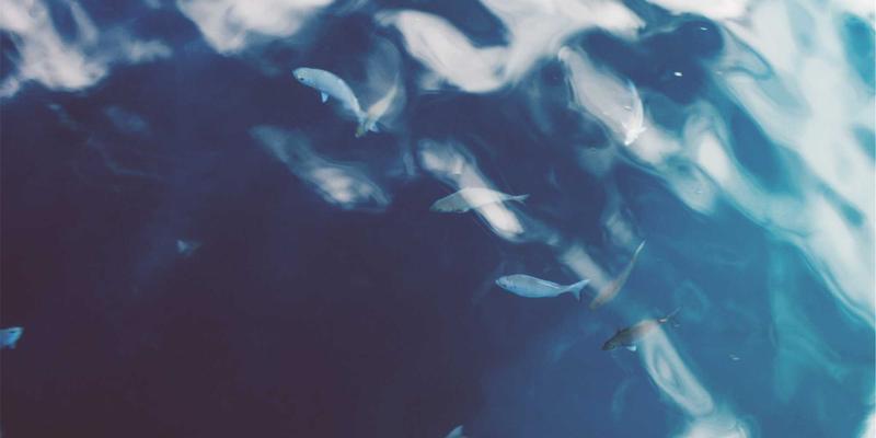 挑战极限环境：工业设备在高温、高湿、粉尘下的可靠性设计解决方案