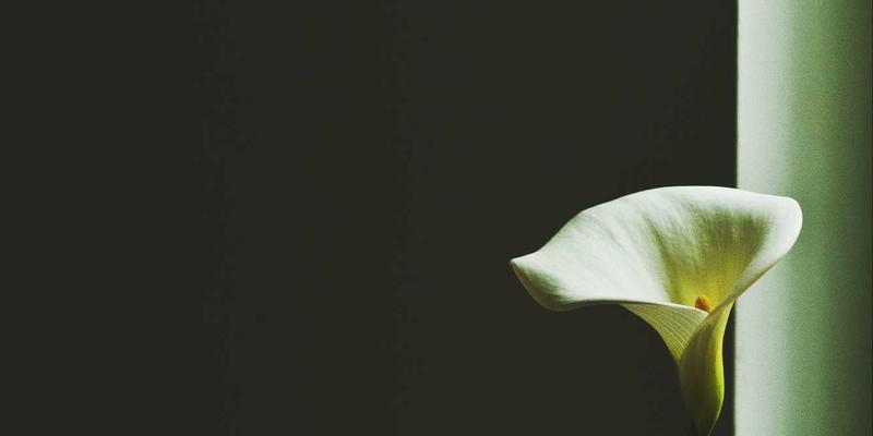 福耐德传动部件：工业设备高效运转的精密心脏