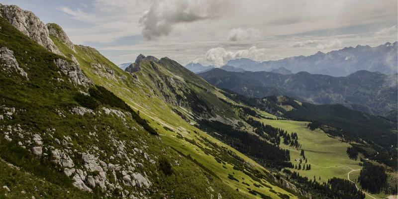 福耐德工业解决方案：传动部件维护与效能提升最佳实践
