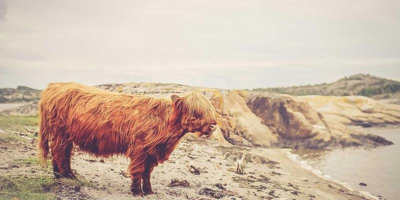 福耐德工业设备安装与基础校准：传动部件长期运行精度的基石