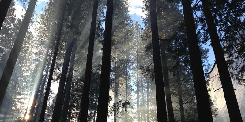 精密零件与自动化设备如何选型？福耐德视角下的工业设备全生命周期管理平台实施策略
